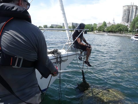 Anchor cleaning after Med Mooring.