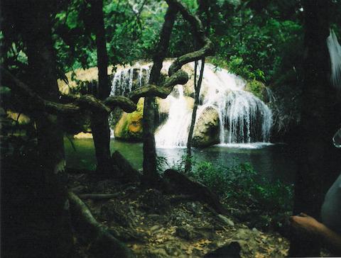 Bonito