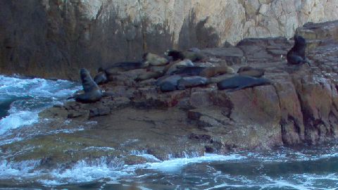 Cabo San Lucas-21