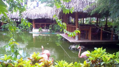 Blau Natura Park BeachEcoResort and Spa