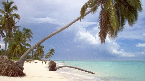  White coral sand beach and turquoise waters of Punta Cana.