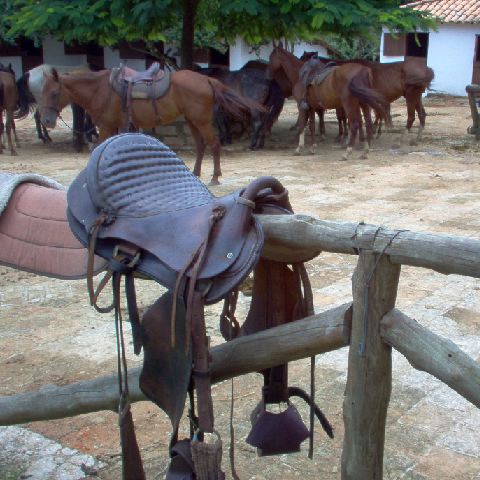 Fazenda Copoava-2