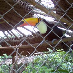 Fazenda Copoava-5