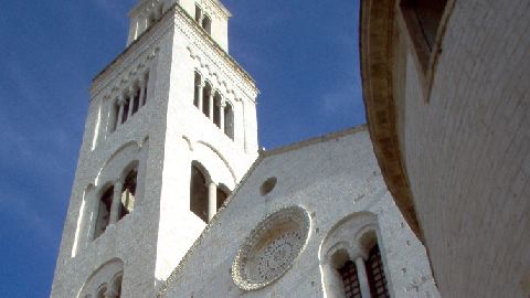 Bari-8