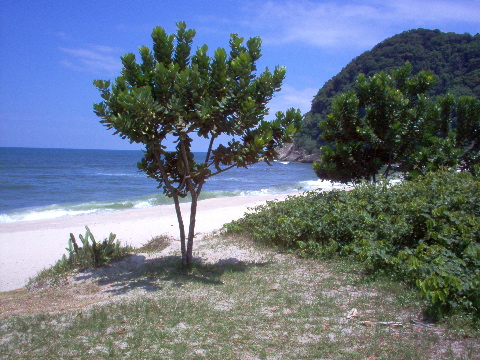 Praia Juréia, São Sebastião