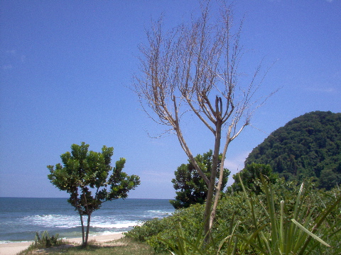Praia Juréia, São Sebastião