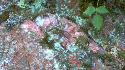 Agawa Canyon-10