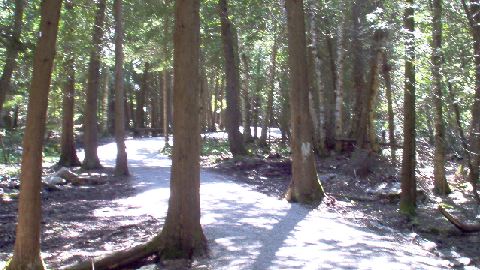 Bruce Peninsula National Park-1