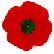 Poppy