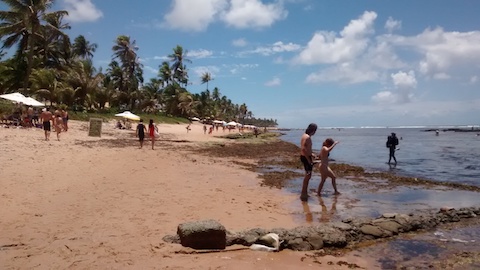 Praia do Forte 5