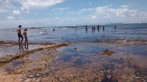 Praia do Forte 6