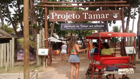Praia do Forte 9