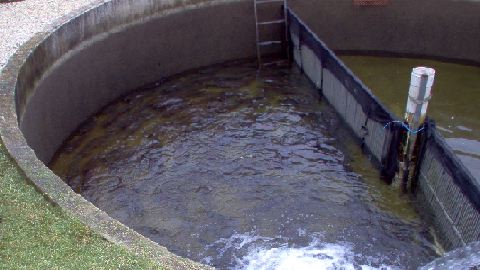 Trout Farm