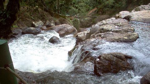Mountain Stream