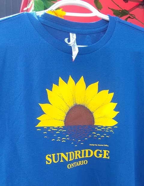 Sundridge Sunflower Festival