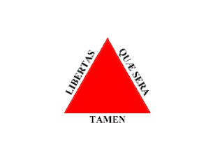 State Flag of Minas Gerais, Brasil