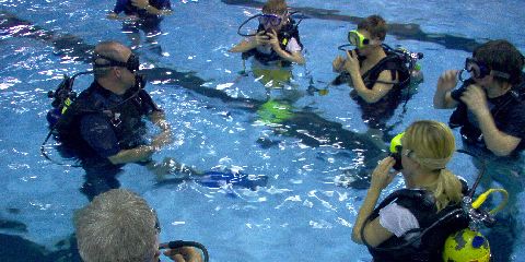 Discover Scuba Class