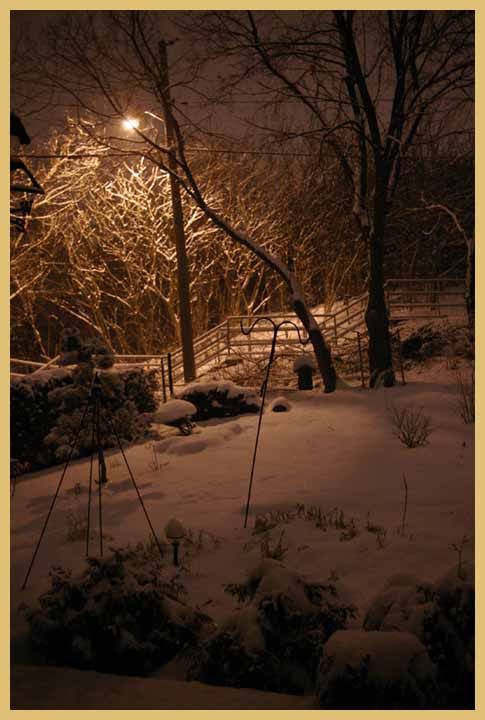 Backyard at night.