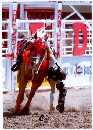 Calgary Stampede