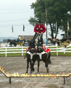 Tom Bishop Jr., Roman Riding registered Canadians