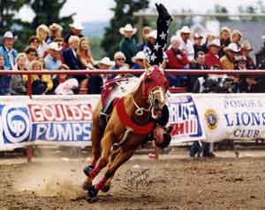 Sally Bishop, Ponoka Stampede