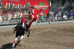 Sally Bishop, Ponoka Stampede